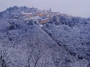 La neve imbianca il Sacro Monte: una cartolina d'inverno per Varese