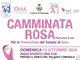 Domenica tutti a Sumirago per la Camminata Rosa