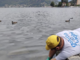 “Goletta dei Laghi”, lago Ceresio: solo uno dei quattro punti campionati risulta inquinato