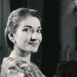 Proposta d'artista: «Berlusconi? Intitolate Malpensa a Maria Callas»
