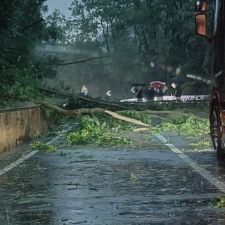 «Vento mai visto così forte qui, Comune al lavoro per risolvere i problemi»