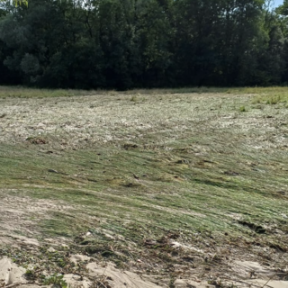 I campi vicino al lago di Varese, devastati dalla pioggia di ieri 7 luglio