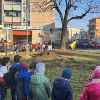 Festa dell'Albero, le iniziative del Comune di Varese