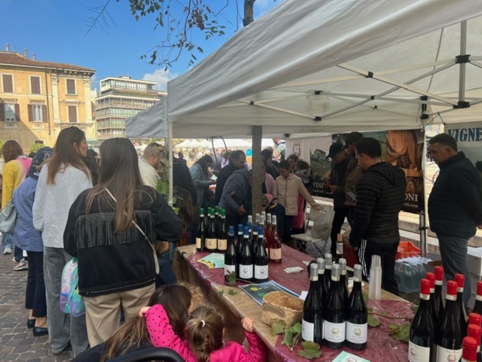 FOTO - Festa dell’uva, festa del gusto: successo a Gallarate