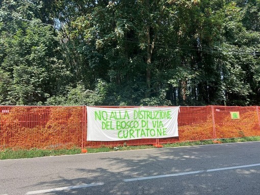 Gallarate, bosco via Curtatone: «La trasparenza e l’informazione sui progetti di trasformazione del nostro territorio devono essere l’obbligo di chi li propone»