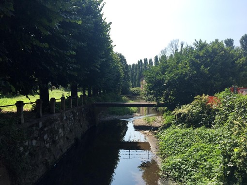 Un viaggio lungo l'Olona per riscoprire un legame che non si può spezzare. Il fiume è tornato, ora dobbiamo tornare anche noi