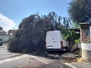 FOTO. Tempesta su Gallarate: sottopassi allagati e alberi a terra