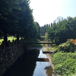 Un viaggio lungo l'Olona per riscoprire un legame che non si può spezzare. Il fiume è tornato, ora dobbiamo tornare anche noi