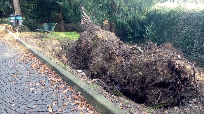 Parco Mantegazza, visto da... dentro: «Buche, tombini tappati, giochi vecchi, pericoli»