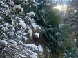 Il panorama innevato visto dal Sacro Monte