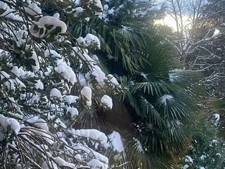 Il panorama innevato visto dal Sacro Monte