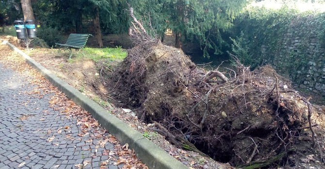 Parco Mantegazza, visto da... dentro: «Buche, tombini tappati, giochi vecchi, pericoli»