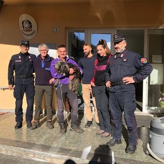 Ritrovato vivo nei boschi anche il cane dell'escursionista varesino disperso per giorni in Val Grande