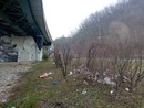 FOTO. La rotonda di viale Belforte è diventata una discarica a cielo aperto