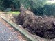 Parco Mantegazza, visto da... dentro: «Buche, tombini tappati, giochi vecchi, pericoli»