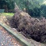 Parco Mantegazza, visto da... dentro: «Buche, tombini tappati, giochi vecchi, pericoli»