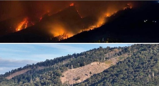 IERI E OGGI. Il Campo dei Fiori in fiamme sette anni fa e come lo ritroviamo oggi negli stessi punti devastati dall'incendio nelle immagini di Alessandro Umberto Galbiati