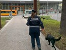 L'unità cinofila della Polizia Locale nei pressi della stazione ferroviaria