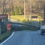 Albero abbattuto dal vento in località Bevera, tra i Comuni di Arcisate e Viggiù