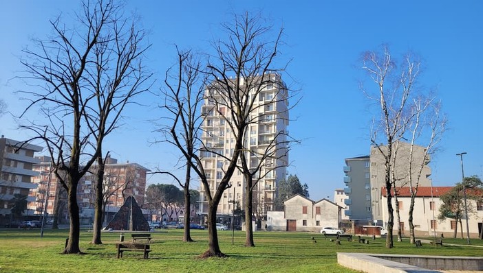 Manutenzione straordinaria del verde pubblico a Castellanza: 200mila euro per potature e interventi sugli alberi