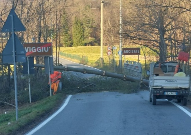 Albero abbattuto dal vento in località Bevera, tra i Comuni di Arcisate e Viggiù