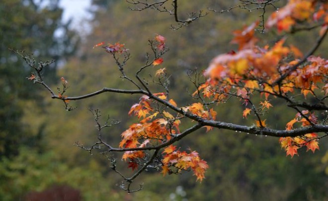 L'autunno avanza tra nuvole, qualche pioggia e occhiate di sole. Weekend asciutto