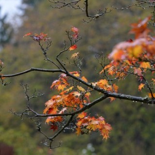 L'autunno avanza tra nuvole, qualche pioggia e occhiate di sole. Weekend asciutto