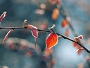 Aria artica e gelate. L'inverno bussa alle porte del Varesotto