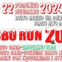 Babbo Run 2024 a Castellanza: corsa e camminata natalizia per grandi e piccoli nel Parco Alto Milanese