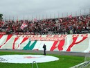 Beppe Sannino e il giro di campo per salutare i novemila del Franco Ossola ai tempi del Varese tornato in B dopo 25 anni