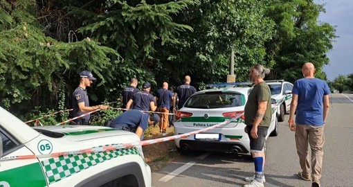 Gallarate, &quot;cadono&quot; gli alberi di via Curtatone