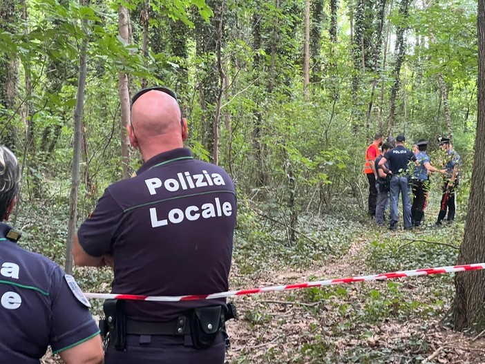 Conservazione e sviluppo: la sfida in via Curtatone. Il futuro del boschetto resta incerto