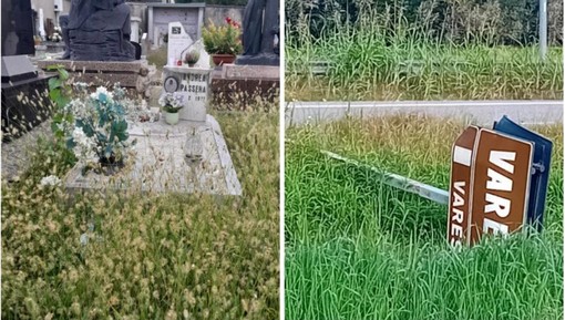 «A Capolago incuria, erba alta al cimitero e auto troppo veloci»