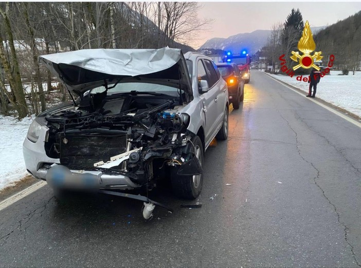 Violento impatto tra un'auto e un cervo a Premia nel Vco