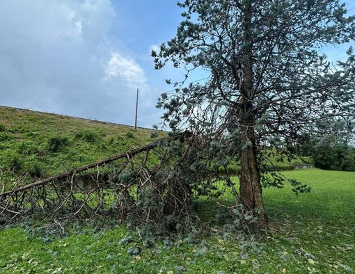 Maltempo, a Saronno il Comune chiude i parchi: «Rischio crolli, non recatevi nelle aree verdi»