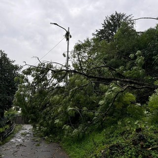 Le foto postate da Cosentino dalla strada provinciale 29, da Valganna a Cuasso al Monte, «chiusa per via delle sponde crollate»