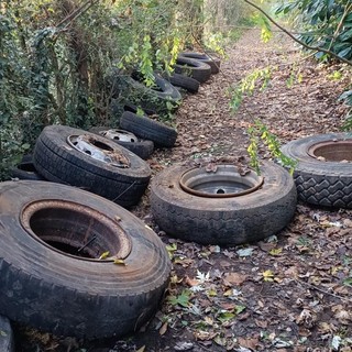 Gli incivili colpiscono ancora: i boschi di Borsano trasformati in una discarica di gomme