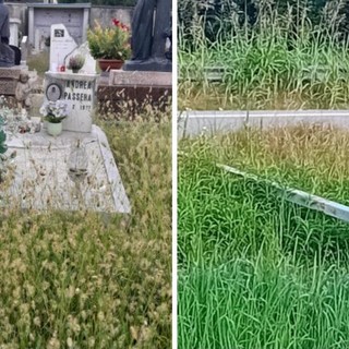 «A Capolago incuria, erba alta al cimitero e auto troppo veloci»