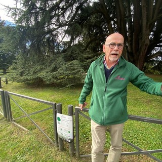 Daniele Zanzi davanti al cedro del Libano di Villa Mirabello