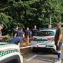 Gallarate, &quot;cadono&quot; gli alberi di via Curtatone