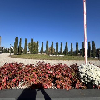 Giù la sbarra al cimitero di Busto (ma non è un vandalo)