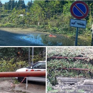 La foto scattata oggi (in alto) e le due inviate in redazione (sotto) da un nostro lettore sull'area all'inizio di via Gasparotto dopo l'incrocio con viale Borri