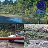 La foto scattata oggi (in alto) e le due inviate in redazione (sotto) da un nostro lettore sull'area all'inizio di via Gasparotto dopo l'incrocio con viale Borri