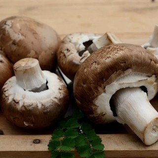 A SPASSO NEL WEEKEND Dai funghi di Cunardo alla regata nazionale di barche d'epoca di Laveno. E a Besozzo arriva la medaglia d’argento di Soares