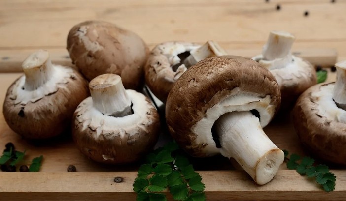 A SPASSO NEL WEEKEND Dai funghi di Cunardo alla regata nazionale di barche d'epoca di Laveno. E a Besozzo arriva la medaglia d’argento di Soares