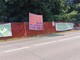 Bosco di Gallarate, nessun rinvio al taglio degli alberi