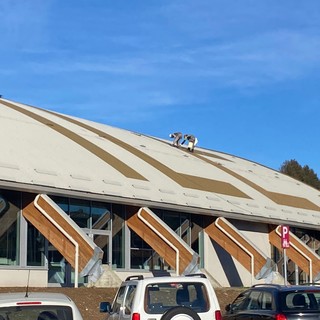 L'Acinque Ice Arena si ammira anche dal cielo: quasi ultimata la grande scritta sul tetto
