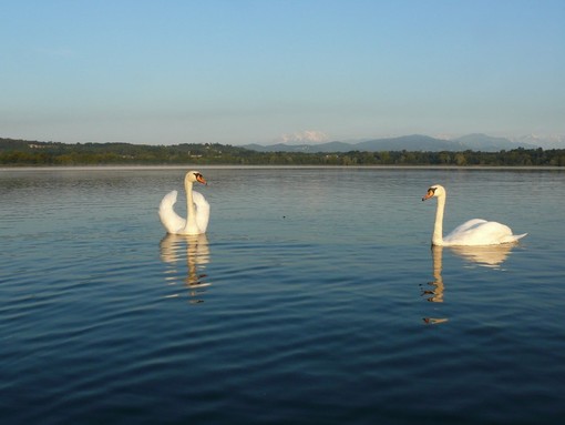 Lago di Varese balneabile, Aime: «Gran risultato che spinge ad avere maggiori ambizioni»