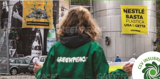 Greenpeace e CSV Insubria Varese: incontro di formazione per volontari