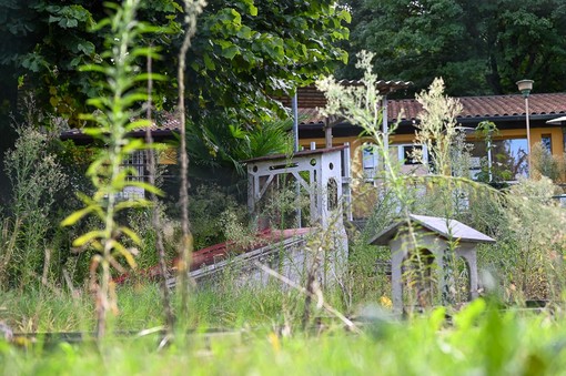 La natura si è ripresa il suo spazio dopo che il minigolf ha perso un &quot;papà&quot;. È allo studio un nuovo bando comunale per trovargliene un altro (foto Alessandro Umberto Galbiati)